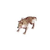 生者のデザートウルフ