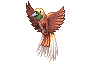 極楽鳥