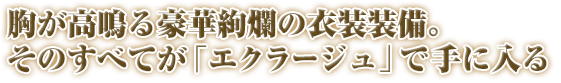 胸が高鳴る豪華絢爛の衣装装備。そのすべてが「エクラージュ」で手に入る