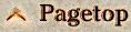 Pagetop