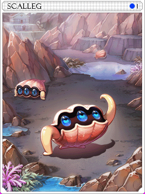 スカレッグカード