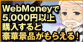 WebMoneyキャンペーン