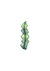 水草