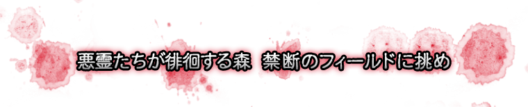 悪霊たちが徘徊する森　禁断のフィールドに挑め