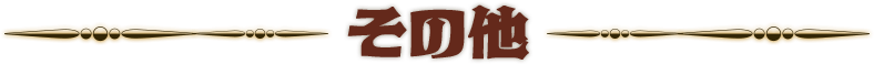 その他