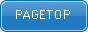 PageTop