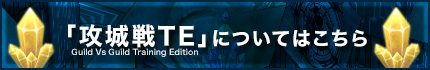 攻城戦TEについてはこちら
