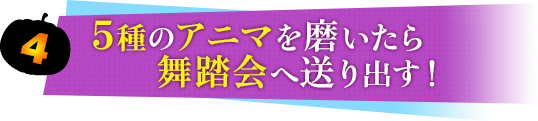 ５回のアニマを磨いたら舞踏会へ送り出す！
