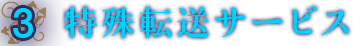 特殊転送サービス