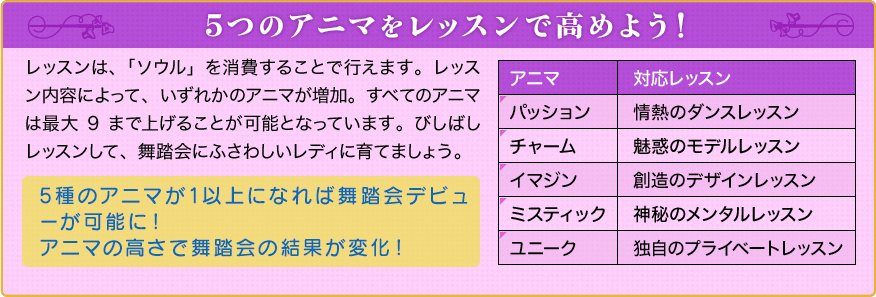 ５つのレッスンをアニマで高めよう！