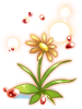 イリュージョン<br>装飾用花
