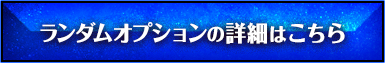ランダムオプションの詳細はこちら