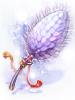 ロイヤルフォックステイル[1]