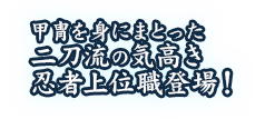 甲冑を身にまとった二刀流の気高き忍者上位職登場！