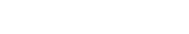 「影」の力を行使する体術に秀でた物理攻撃タイプ