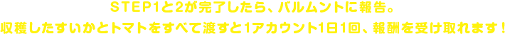 STEP1と2が完了したら、バルムントに報告。収穫したすいかとトマトをすべて渡すと1アカウント1日1回、報酬を受け取れます！