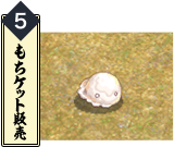 もちケット販売