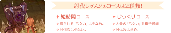 討伐レッスンのコースは2種類！