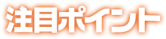 注目ポイント