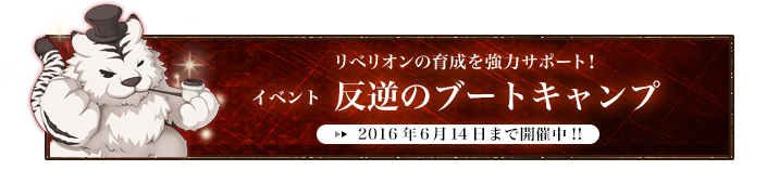 反逆のブートキャンプ