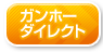 ガンホーダイレクト