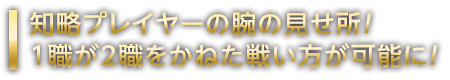 知略プレイヤーの腕の見せ所！1職が2職をかねた戦い方が可能に！