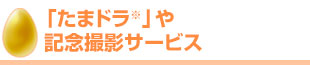 「たまドラ」や記念撮影サービス