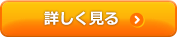 詳細を見る