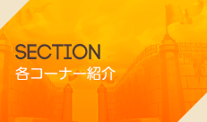 SECTION ステージ情報