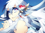 MemoriA PN:きのこ