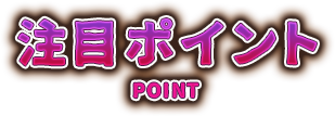 注目ポイント