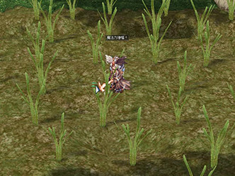「狩りの合間に畑仕事」