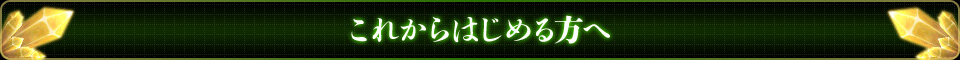 これからはじめる方へ