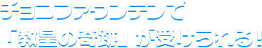 チョコファウンテンで「教皇の奇跡」が受けられる！
