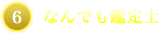 なんでも鑑定士