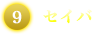 セイバ