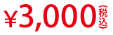 3,000円(税込)