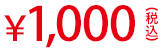 ¥1,000(税込)