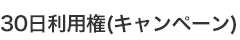 30日利用権(キャンペーン)