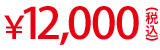 ￥12,000（税込）