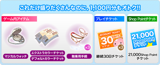 これだけ盛りだくさんなのに、1,100円分もオトク!!