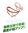 騎乗用手綱の箱